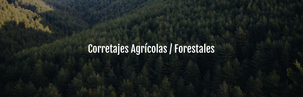 Servicio-Corretajes-Agrícolas-Forestales-móvil-v6